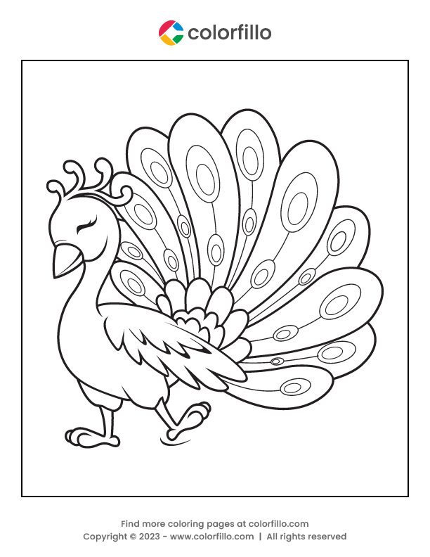 Free Online Peacock Bird Coloring Page - colorfillo