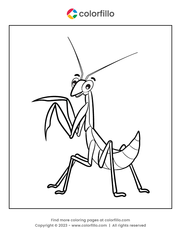 Free Online Praying mantis Coloring Page - colorfillo