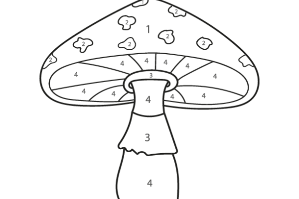 Amanita Mushroom Color by Number