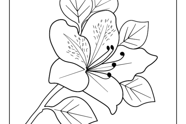 Azalea Coloring Page