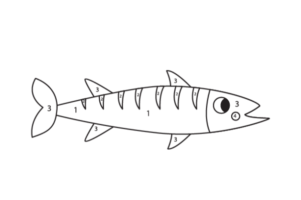 Barracuda Color by Number