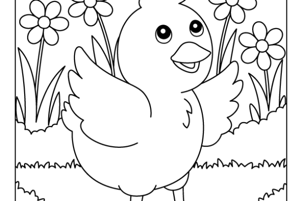 Chicken Bird Coloring Page