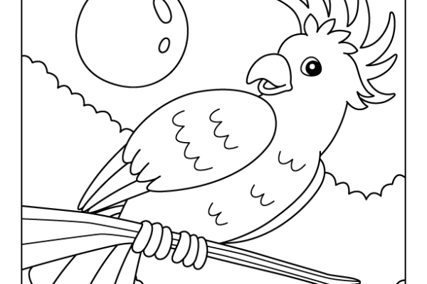 Cockatoo Coloring Page