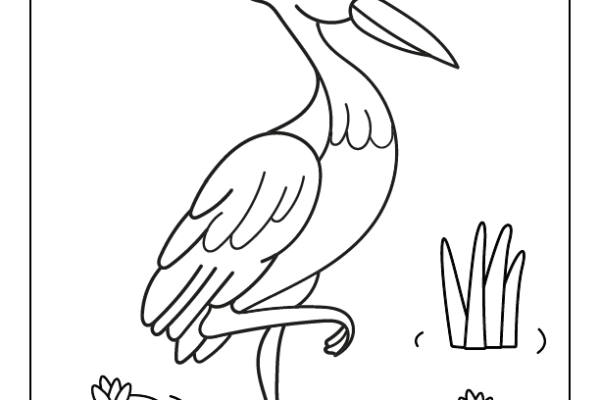 Crane Bird Coloring Page