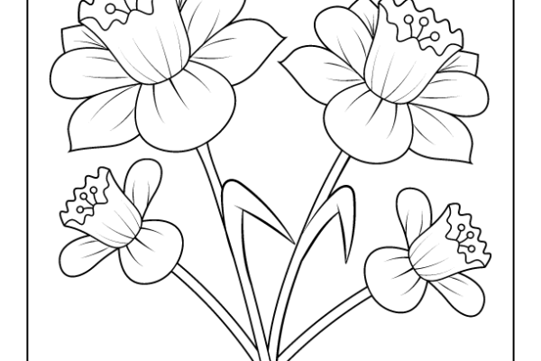 Daffodils Coloring Page