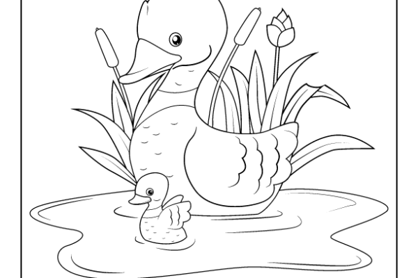 Duck Bird Coloring Page