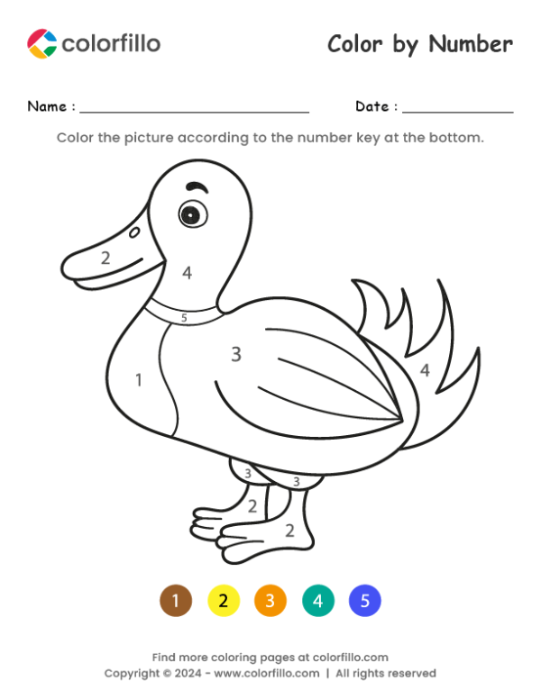 Duck Color by Number