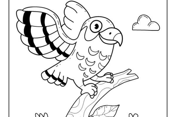 Falcon Bird Coloring Page