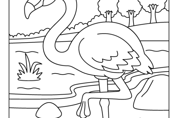 Flamingo Bird Coloring Page