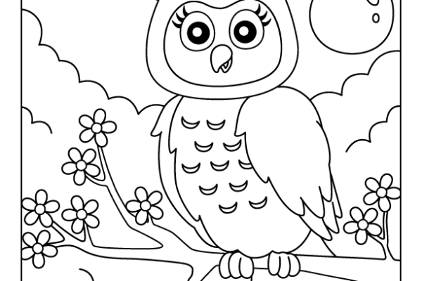 Owl Bird Coloring Page