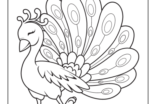 Peacock Bird Coloring Page