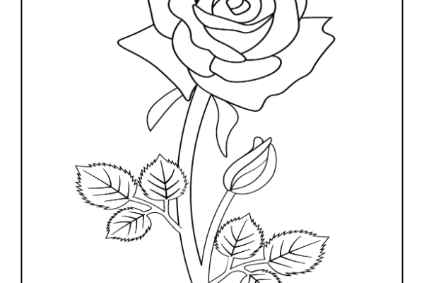 Rose Coloring Page