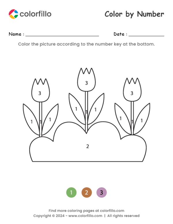 Tulip Color by Number